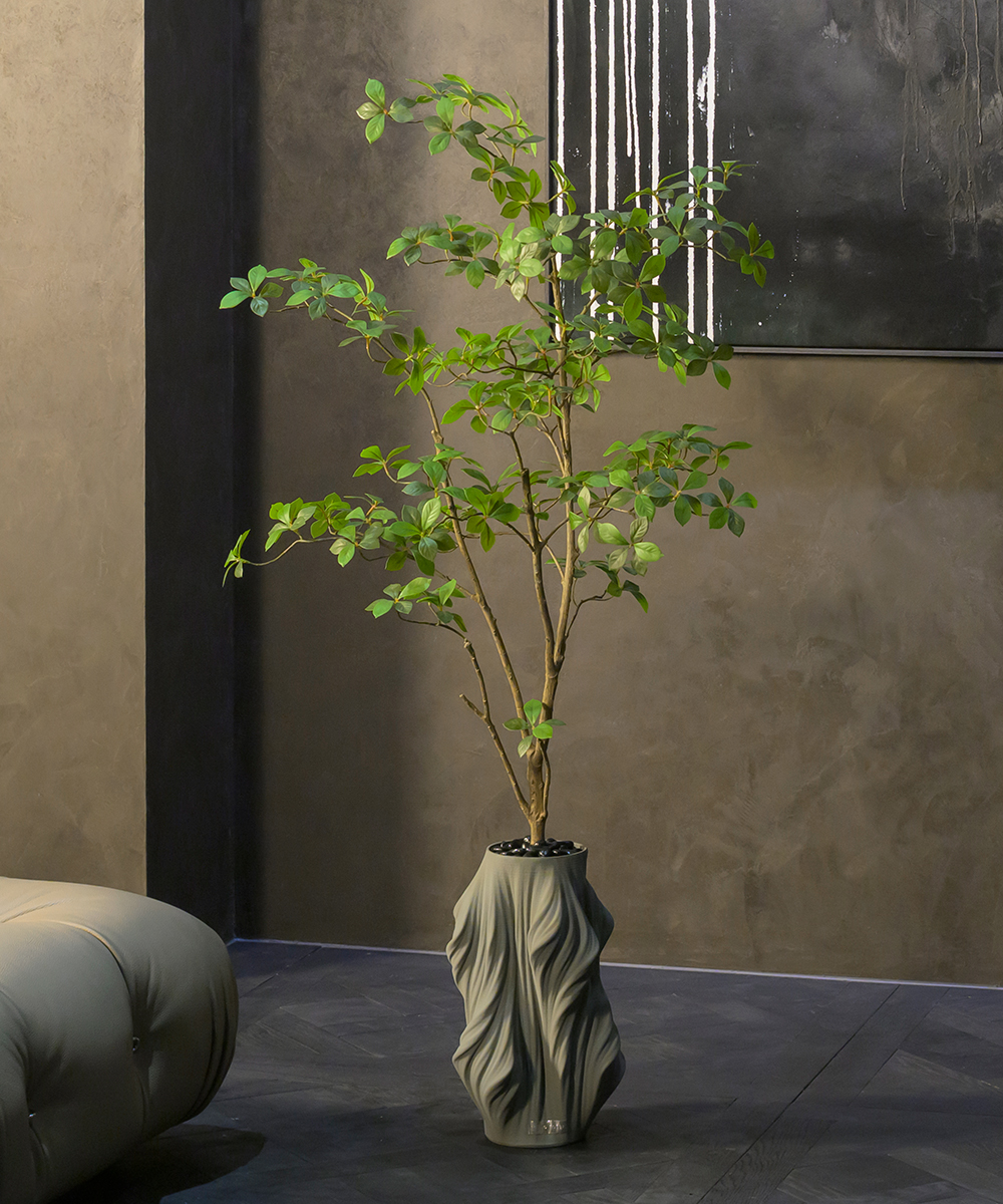 【先行予約】サラサドウダン4L26