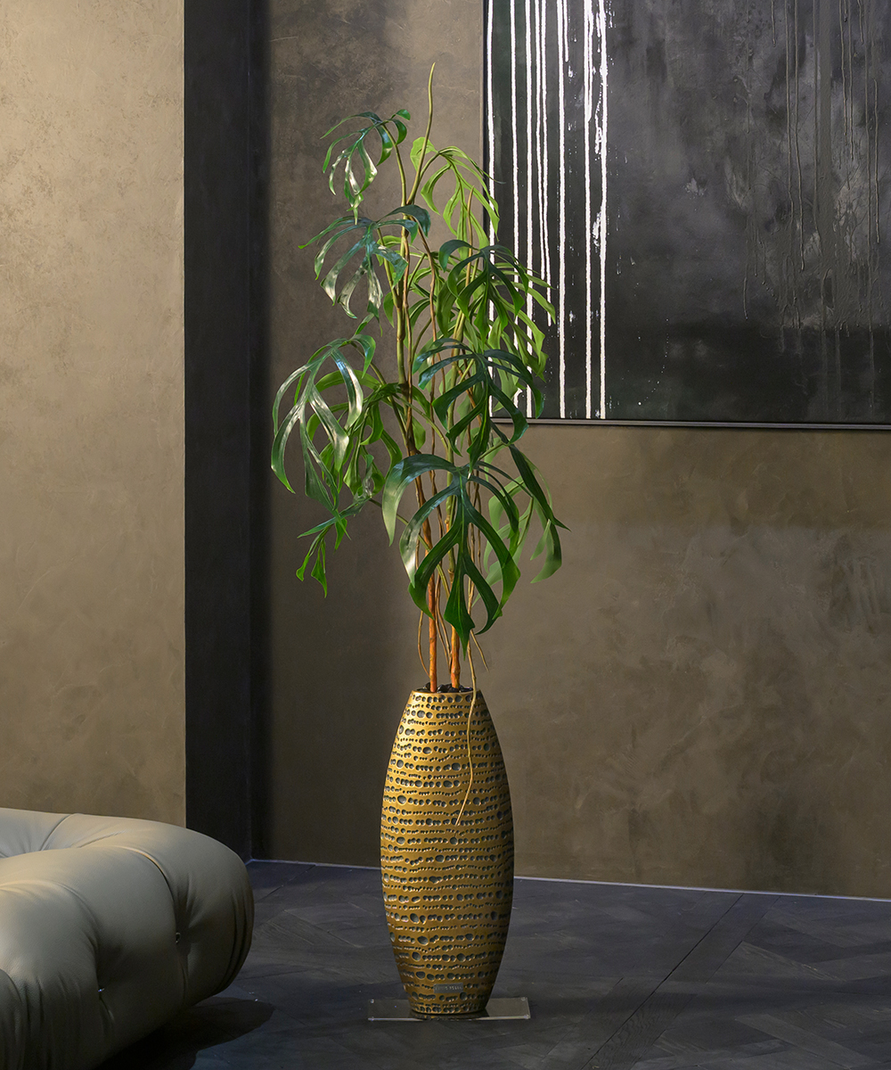 【先行予約】モンステラ4L26