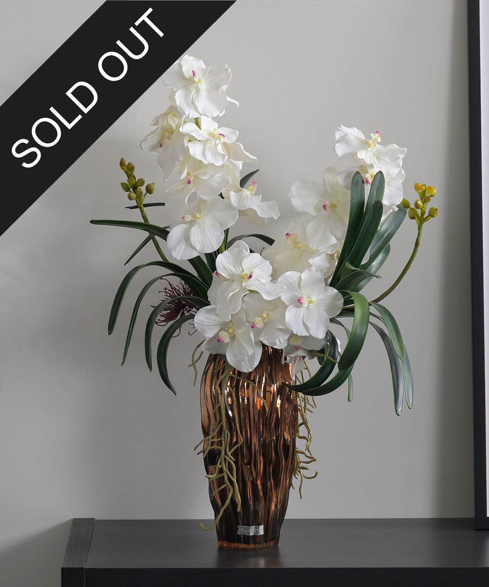 バンダボタニック2L25wh