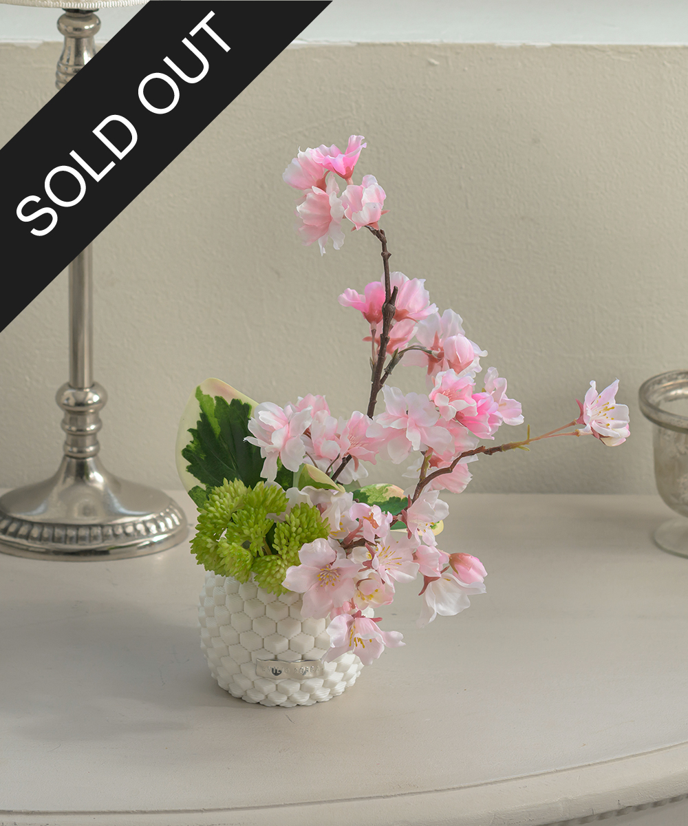 【先行予約】サクラS26