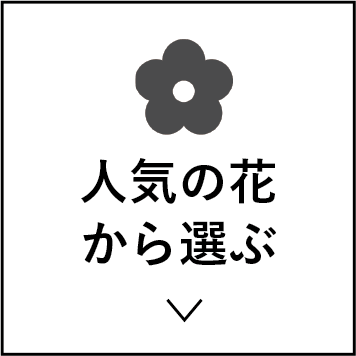 人気の花から選ぶ