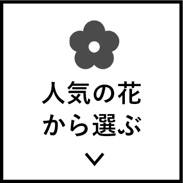 人気の花から選ぶ