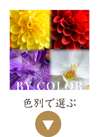 色から選ぶ