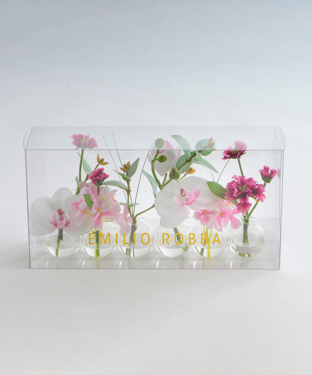 ファレノプシスリップピンク6W ギフト プレゼント お祝い アーティ