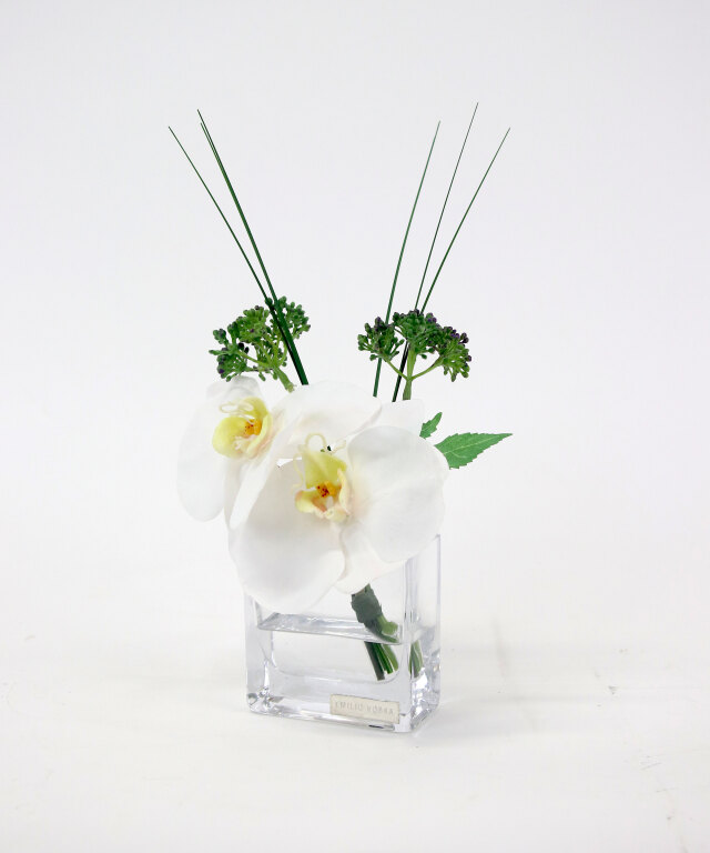 ファレノプシスXS 高品質 ギフト プレゼント お祝い アーティ