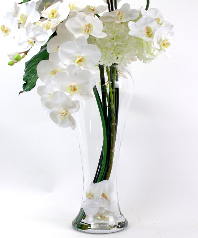 ファレノプシス3XL 胡蝶蘭 高品質 ギフト プレゼント お祝い アーティ