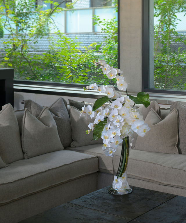 ファレノプシス3XL 胡蝶蘭 高品質 ギフト プレゼント お祝い アーティ