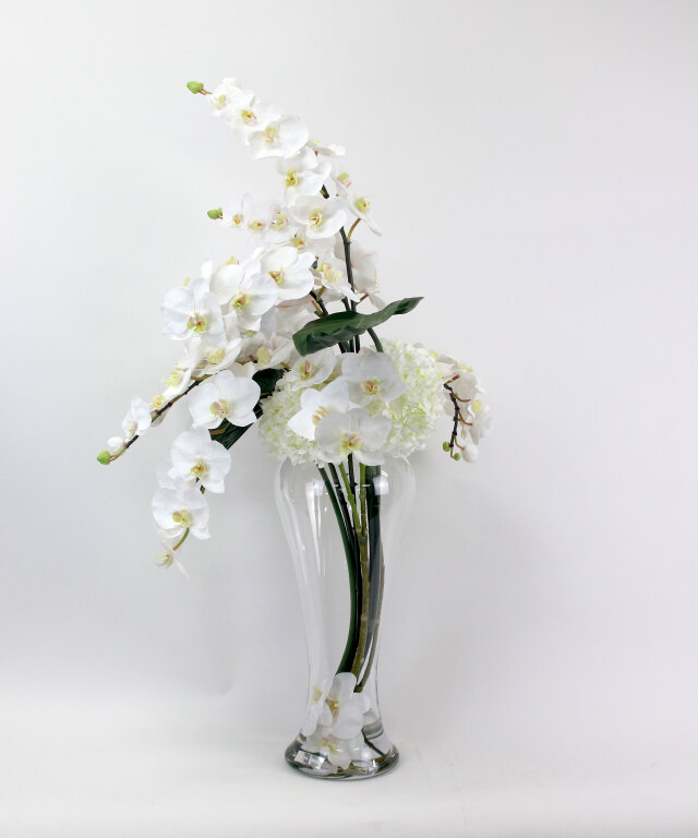 ファレノプシス3XL 胡蝶蘭 高品質 ギフト プレゼント お祝い アーティ