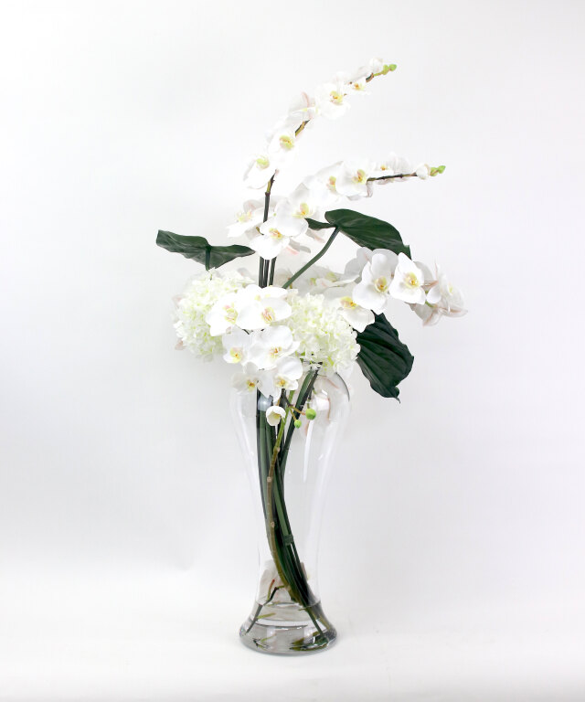 ファレノプシス3XL 胡蝶蘭 高品質 ギフト プレゼント お祝い アーティ