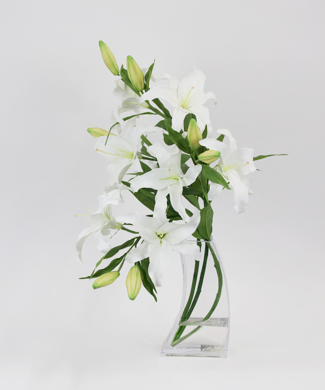 カサブランカ ページ ｶｻﾌﾞﾗﾝｶ: 造花（アーティフィシャルフラワー） ｜ YDMオンライン