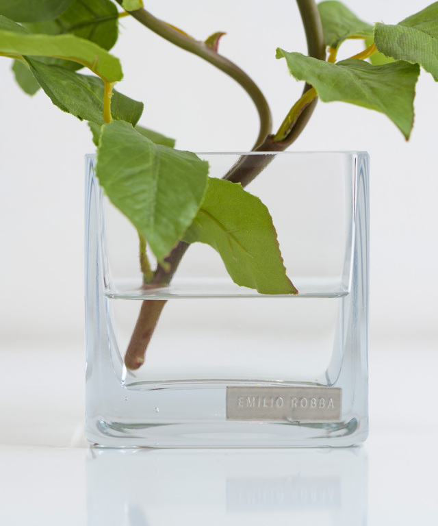 プリマローズSS-p