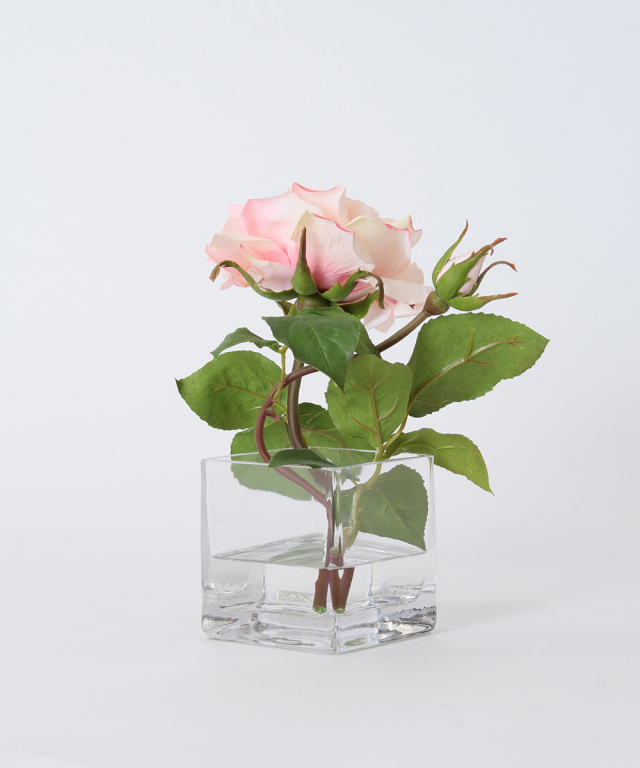 プリマローズpk-XS ギフト プレゼント お祝い アーティフィシャル