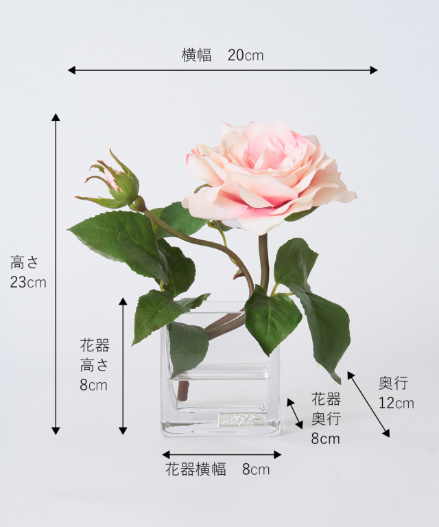 プリマローズpk-XS ギフト プレゼント お祝い アーティ