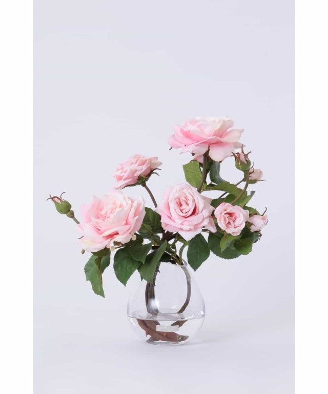 プリマローズpk-L ローズ ギフト プレゼント お祝い アーティ