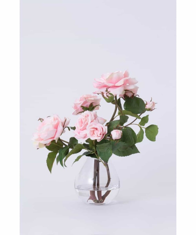 プリマローズpk-L ローズ ギフト プレゼント お祝い アーティ