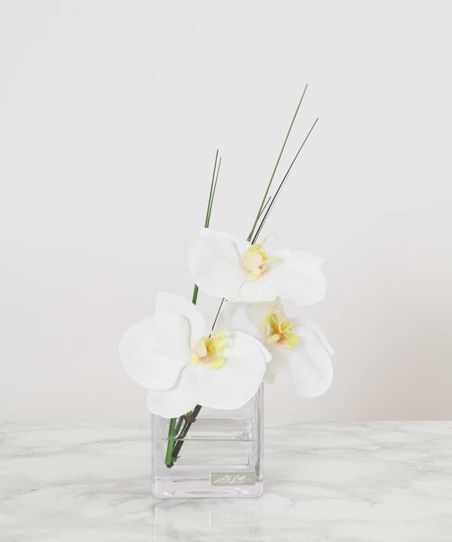EMILIO ROBBA ファレノプシスS アーティフィシャルフラワー EMILIO ROBBA PHALAENOPSIS / エミリオロバ ファレノプシス XL