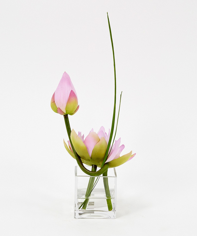 サルート p-up 43G エジプトの国花ロータス E75-L サルート p-up 43G