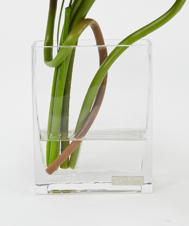 サルート p-up 43G エジプトの国花ロータス　E75-L サルート p-up 43G エジプトの国花ロータス E75-L サルート p-up