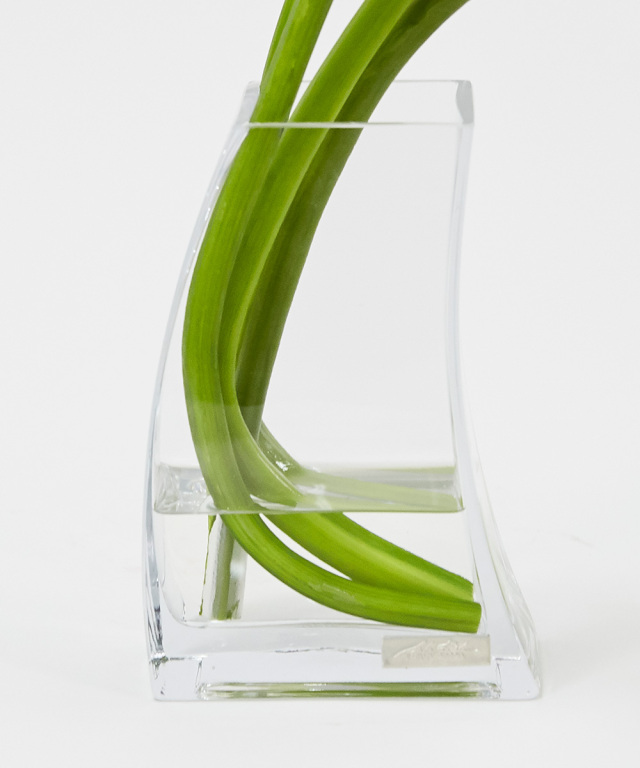 カラー2L 高品質 ギフト プレゼント お祝い アーティフィシャル