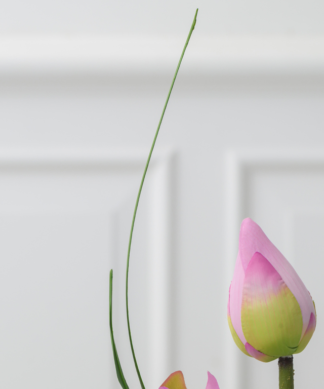 サルート p-up 43G エジプトの国花ロータス　E75-L サルート p-up 43G エジプトの国花ロータス E75-L