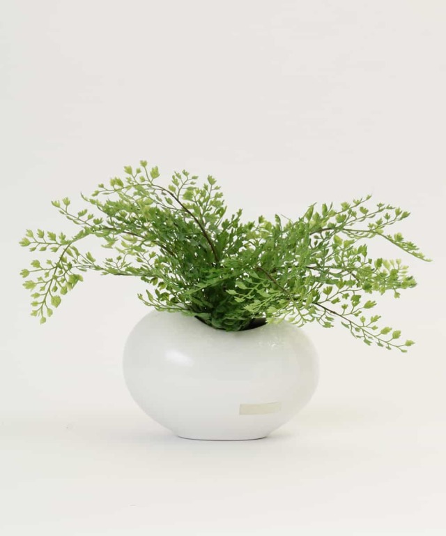 アジアンタム アーティフィシャルグリーン 観葉植物 インテリア