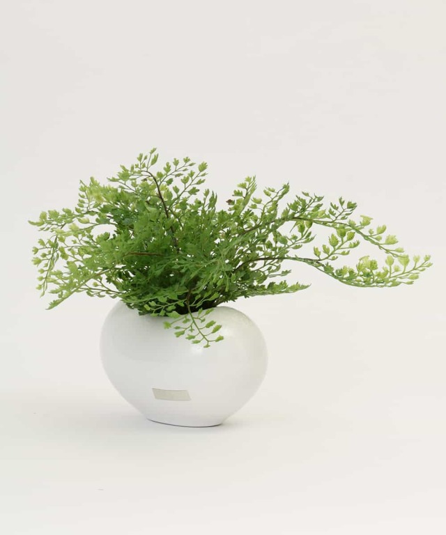 アジアンタム アーティフィシャルグリーン 観葉植物 インテリア