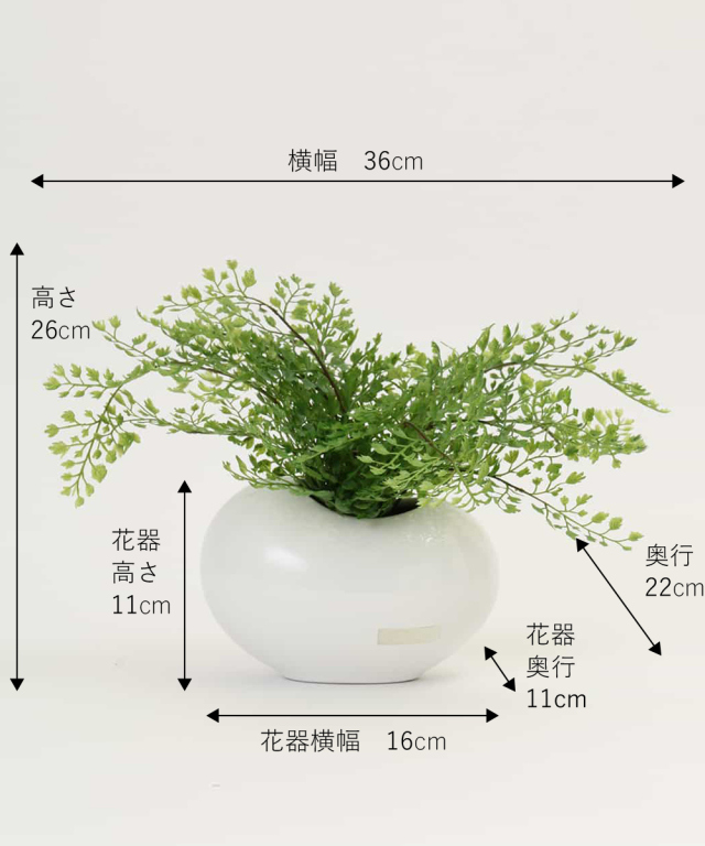 アジアンタム アーティフィシャルグリーン 観葉植物 インテリア ギフト