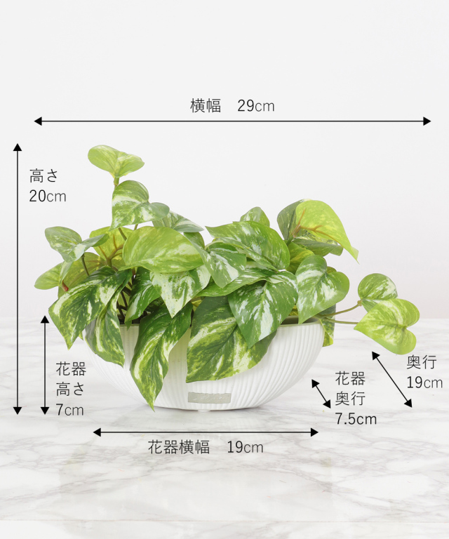 新品 EMILIO ROBBA エミリオロバ ポトスS ポトスS グリーン 観葉植物 アートグリーン ギフト プレゼント