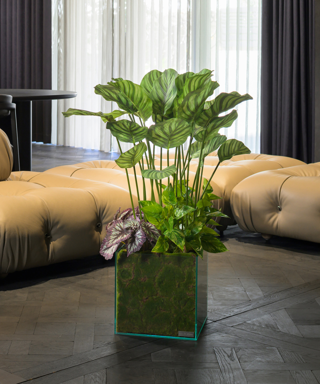 ギャザリング・カラテア