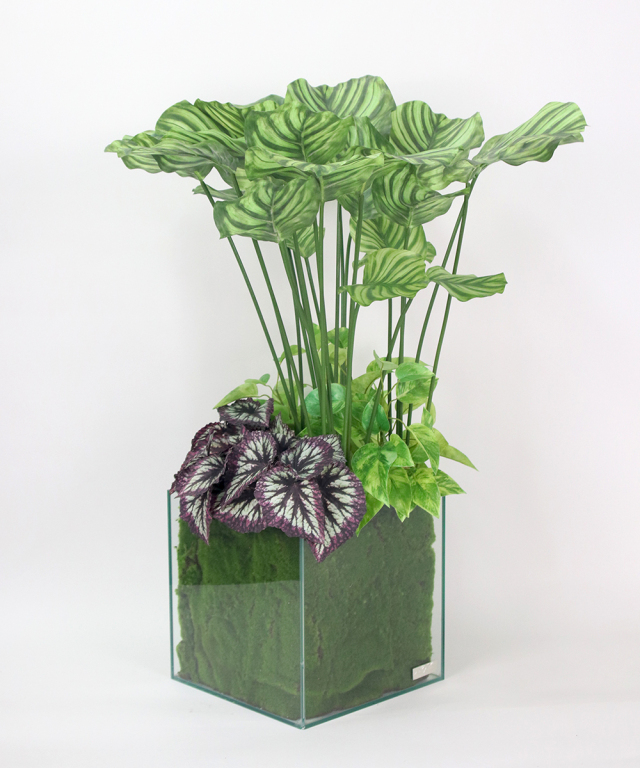 EMILIO ROBBA ギャザリング カラテア 観葉植物 アーティフィシャルグリーン ギャザリング カラテア