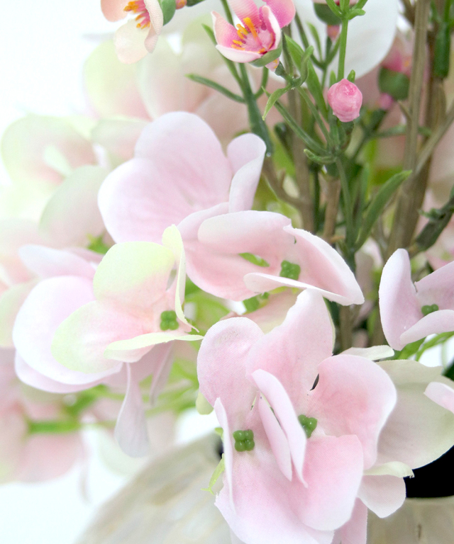 ファレノプシスリップピンク2L 胡蝶蘭 高品質 ギフト プレゼント