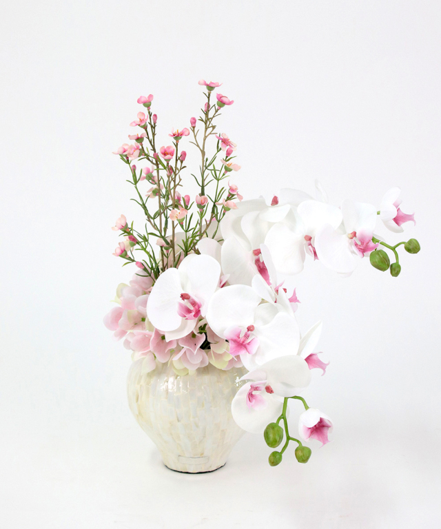 Aエミリオロバ ファレノプシス2L 胡蝶蘭 花 白フラワーアレンジメント Bエミリオロバ ファレノプシス2L 胡蝶蘭 花 白フラワーアレンジメント