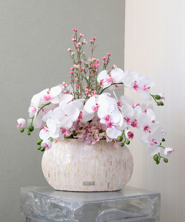 ファレノプシスリップピンク5L 胡蝶蘭 高品質 ギフト プレゼント