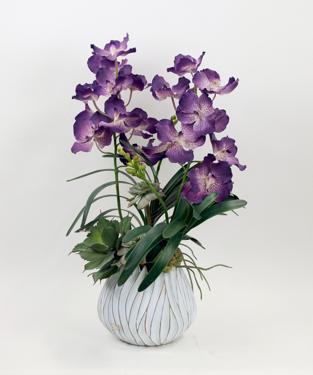 バンダボタニックpu-XL ギフト プレゼント お祝い アーティ