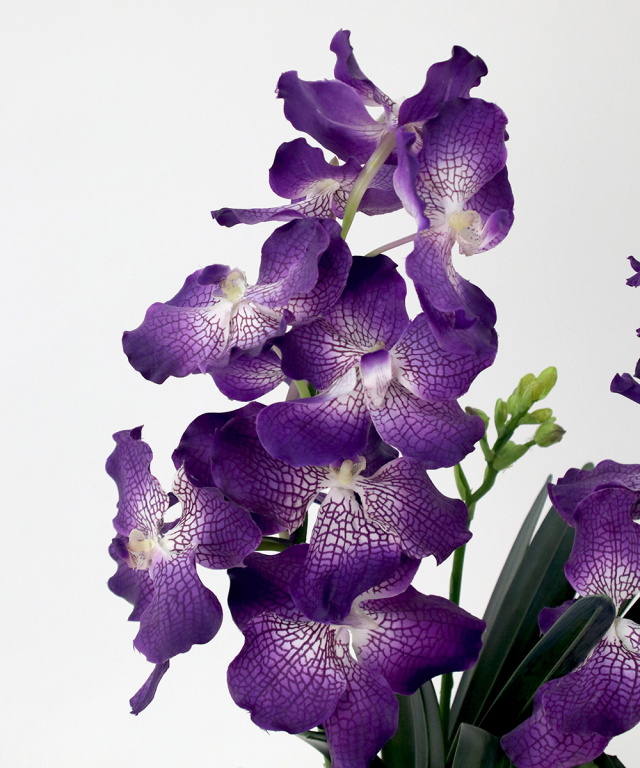 バンダボタニック　アーティフィシャルフラワー バンダボタニックpu-5XL アーティフィシャルフラワー 造花