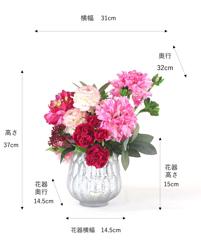 モロッコラナンキュラス2L25