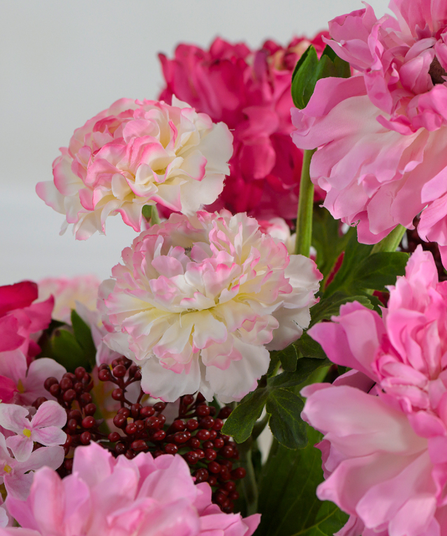 モロッコラナンキュラス3L25