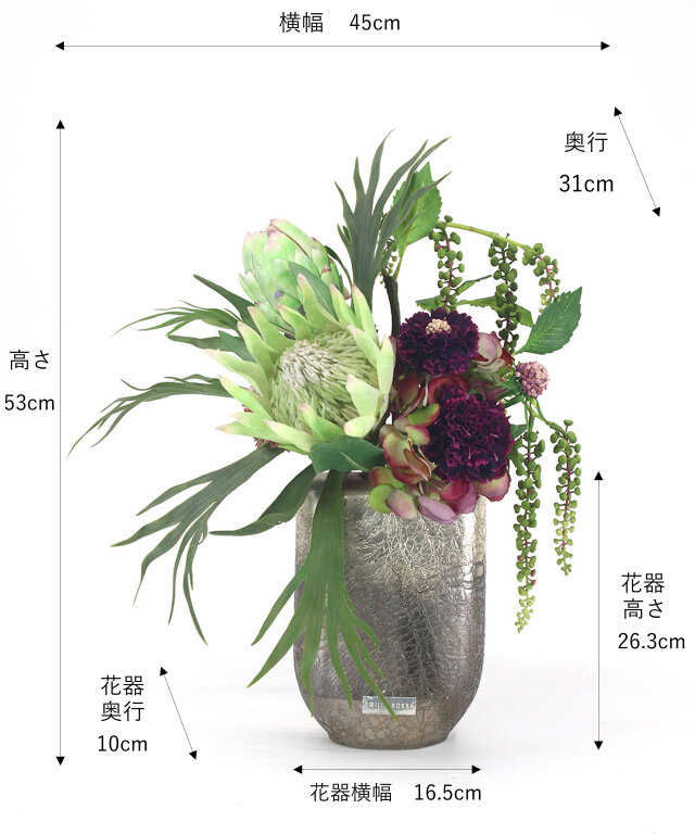 キングプロテア＆スカビオサ2L25