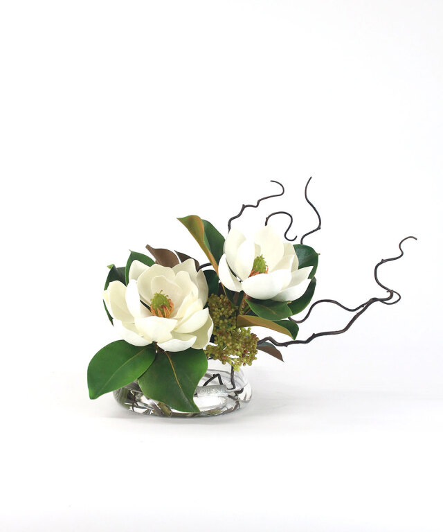 セントメアリー2L25-a