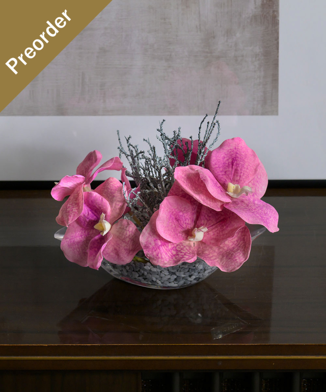 【先行予約】バンダS25pk