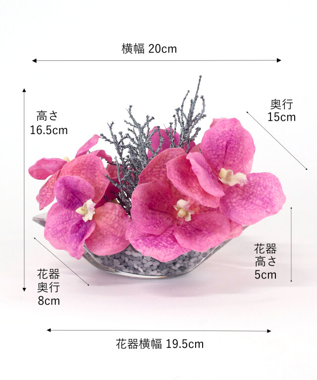 最終お値下げ　美品　エミリオロバ　薔薇＆多肉植物　２個セット 最終お値下げ 美品 エミリオロバ 薔薇＆多肉植物 2個セット 【公式通販】