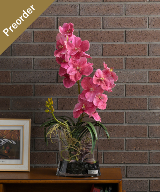 【先行予約】バンダボタニック2L25pk