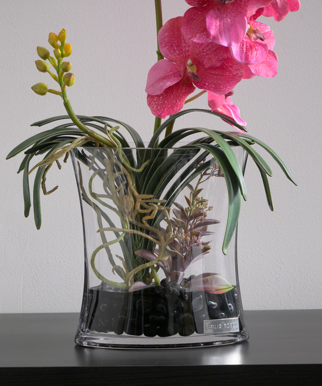 バンダボタニック2L25pk