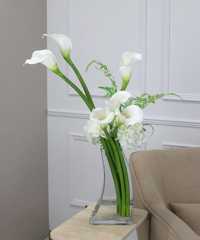 【期間限定】SDGsカラーwh