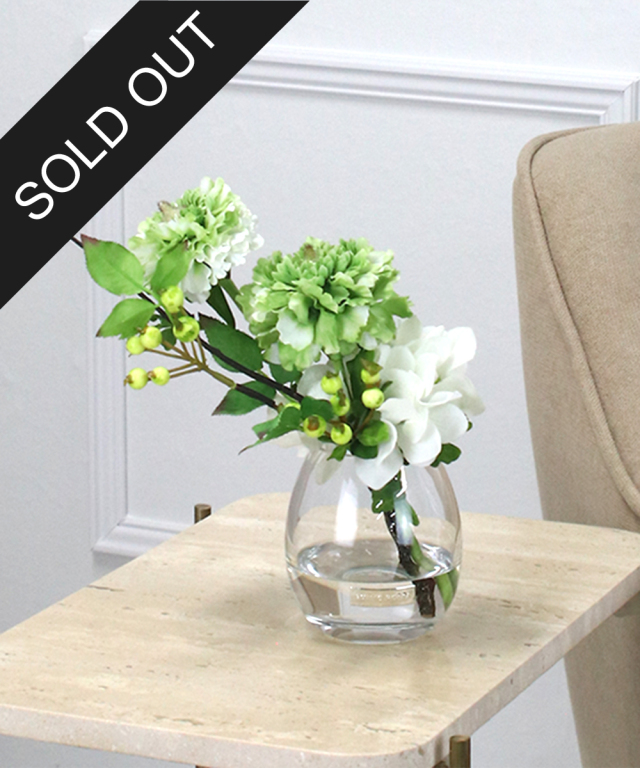 SDGsラナンキュラスgr