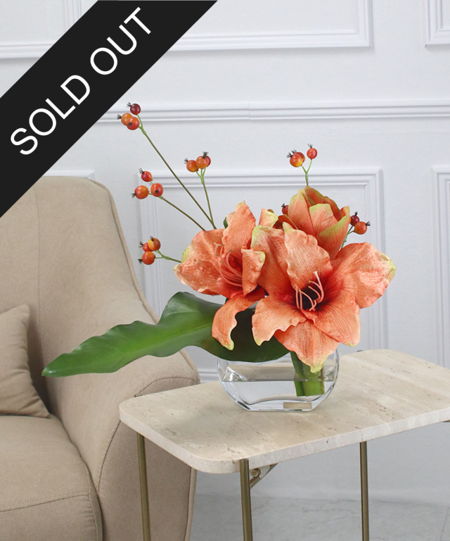 SDGsアマリリスor