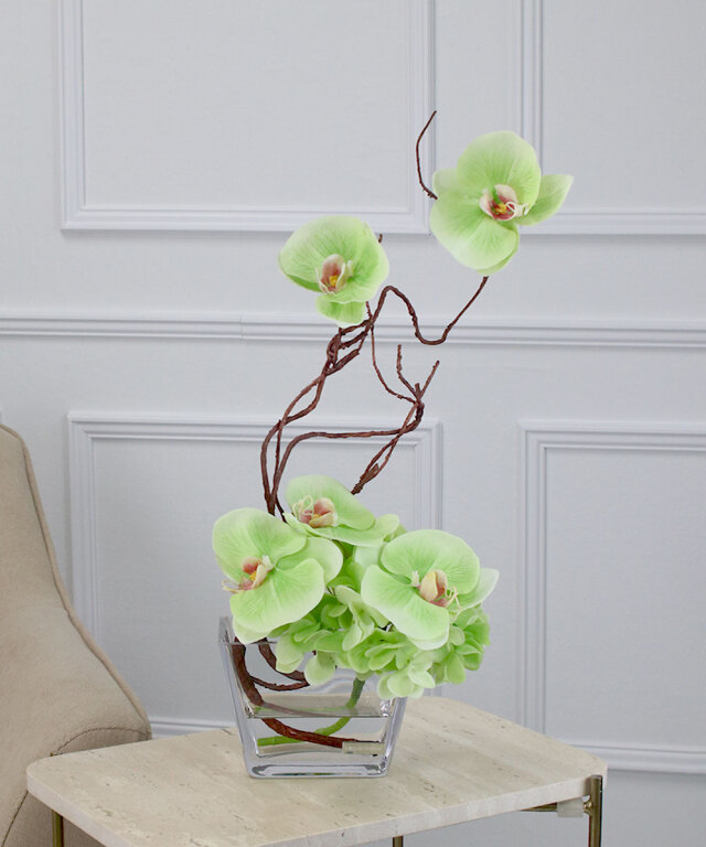 【期間限定】SDGsファレノプシスgr