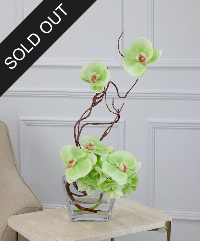 SDGsファレノプシスgr