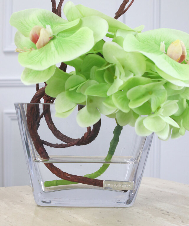 エミリオロバ★ファレノプシス＆ガラス花器★大きめグリーンはオマケで！ エミリオロバ☆ファレノプシス＆ガラス花器☆大きめグリーンはオマケで