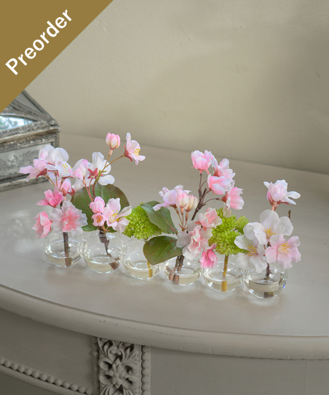 【先行予約】サクラ6W26